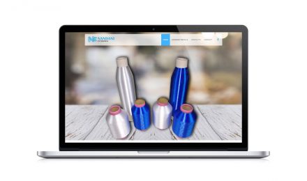 nandani-enterprise-website-development